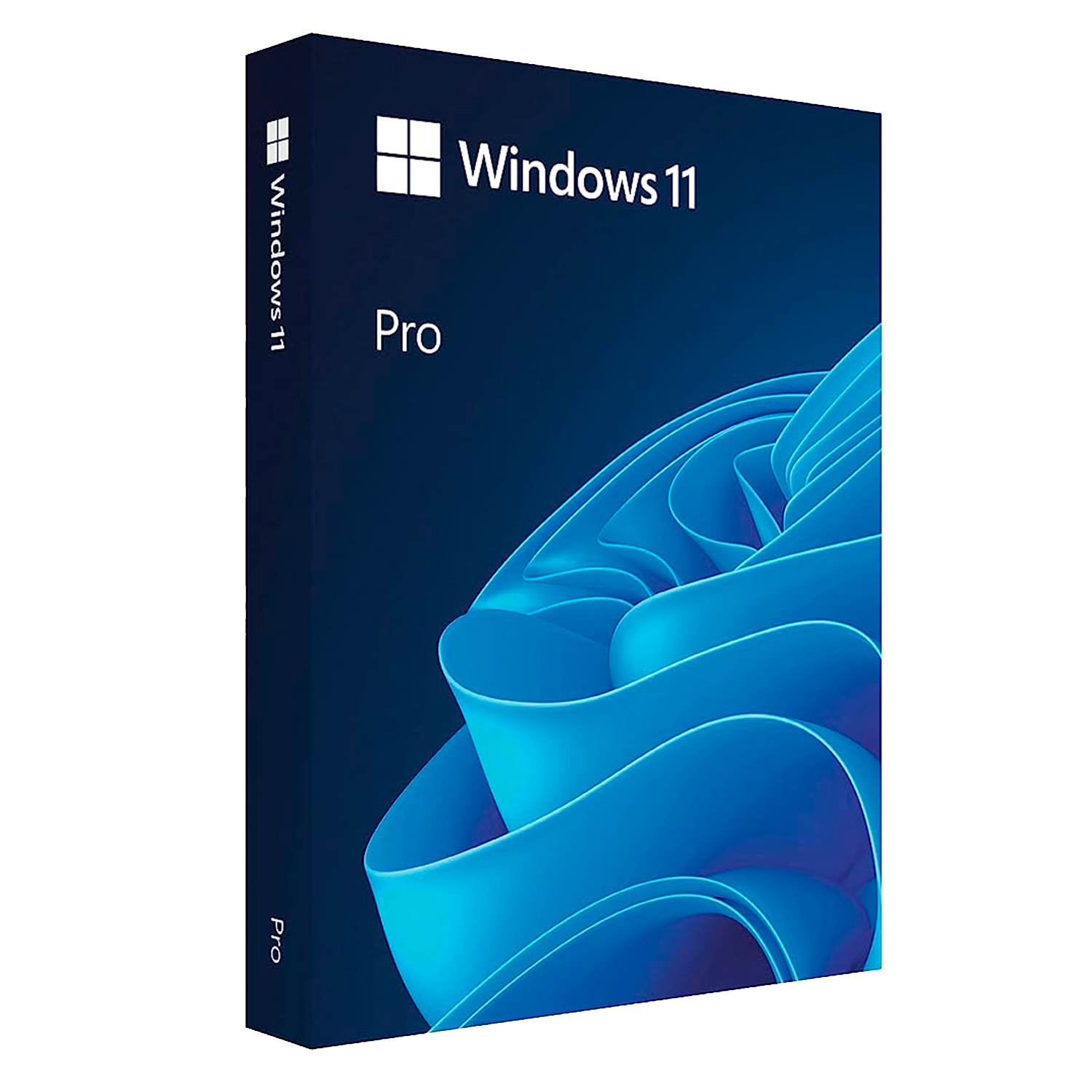 Windows 11 PRO / 10 PRO