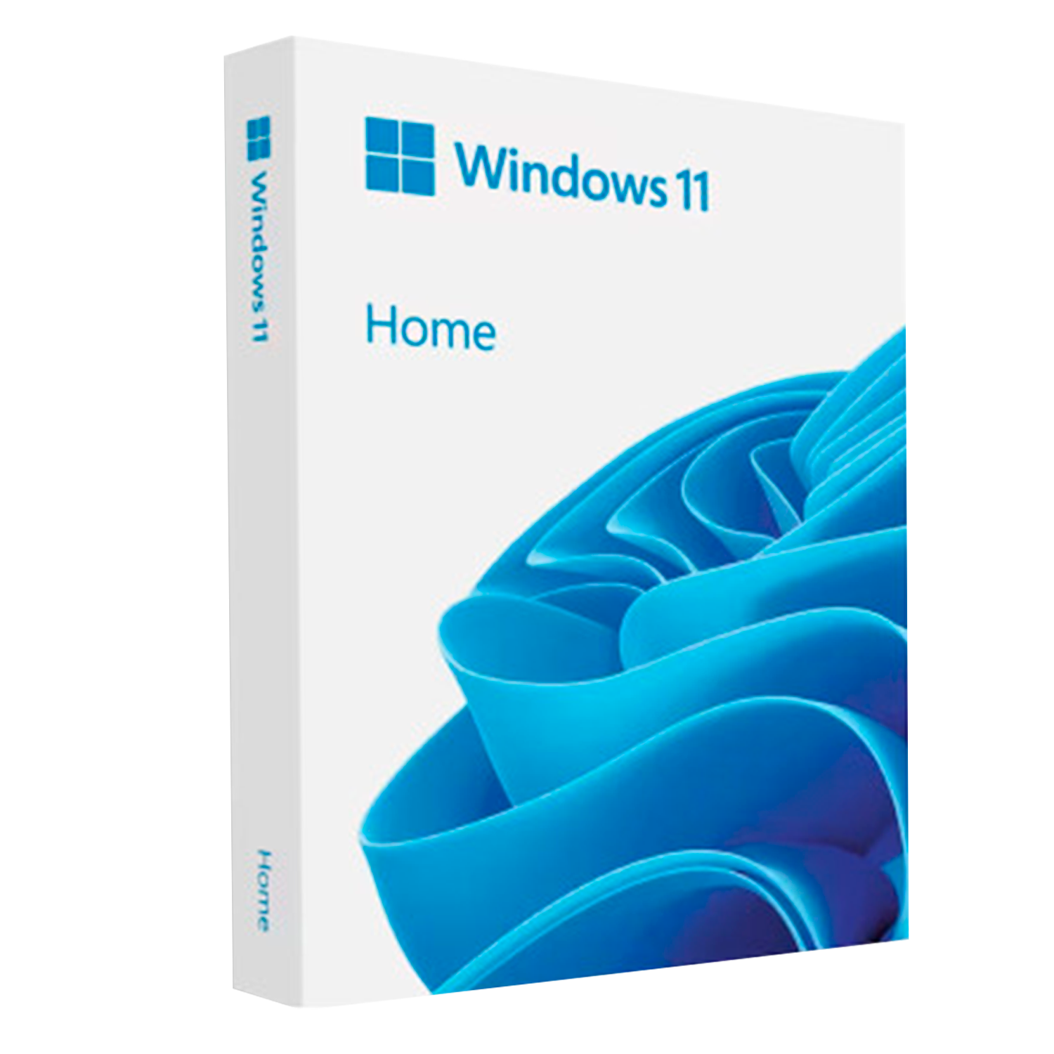 Windows 11 HOME